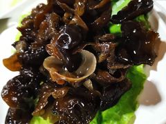 东北黑木耳-羊家胡同·龙虾烧烤火锅(龙汇路店)