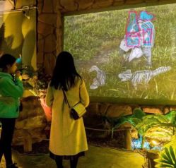 -恐龙探索乐园(磁器口店)