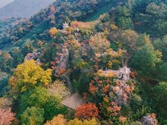 -树山生态村