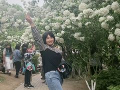 -铁山坪森林公园