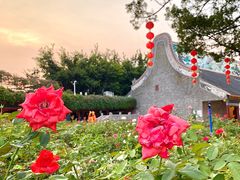 -宝墨园景区