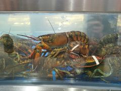 -盒马鲜生(莱蒙都会店)