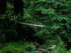 -西岭雪山大飞水景区