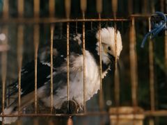 -铁炉农家菜馆