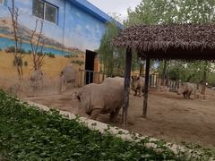 -西安秦岭野生动物园