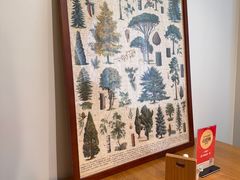 -团子君寿司·茶