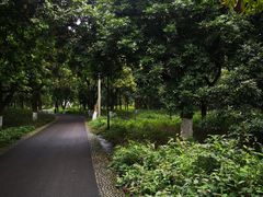 -张坝桂圆林公园