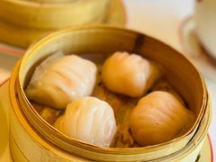 虾饺-咖啡苑 - 蔚藍夏日主题(永利皇宫店)