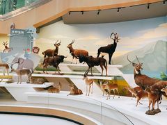 -陕西自然博物馆