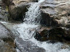 -广州白江湖森林公园