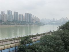 -李子坝梁山鸡(李子坝大鸡哥店)