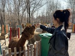 -水上乐园·欢乐世界