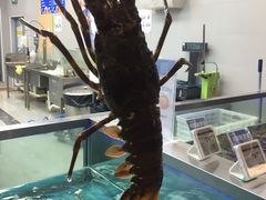 -盒马鲜生(宝地店)