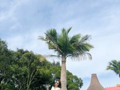 -漳州滨海火山岛自然生态风景区