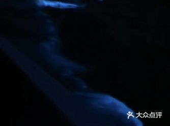 最好能自驾，这样只要在哪出现蓝眼泪，你就可以赶过去