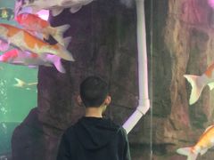 -泉州海丝野生动物世界