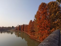 -上海海湾国家森林公园