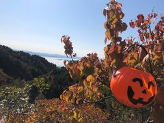-云峰山自然风景区