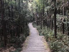 -杭州半山国家森林公园