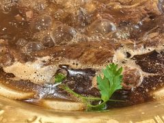 -芦月轩羊蝎子(北蜂窝店)