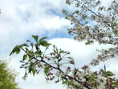 -龙美术馆(西岸馆)