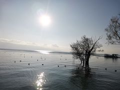 -大理洱海