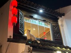 -希望动物医院(汉阳院)