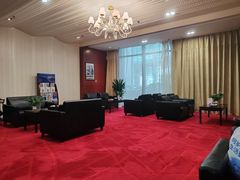 -郑州新郑国际机场T2航站楼-贵宾厅B区
