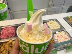 -Salud撒露欧洲冻酸奶(蓝色港湾店)