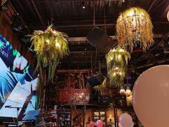 店内布置-胡桃里音乐酒馆(白云五号T5 MALL店)