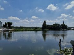 -水岸居湖景农家乐·阳澄湖大闸蟹