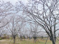 -良渚古城遗址公园