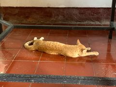 -柬埔寨国家博物馆