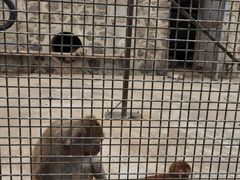 -南京金牛湖风景区