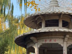-玲珑塔公园