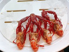 -红盔甲·小龙虾(人民广场店)