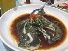 清蒸多宝鱼-金米箩大酒店(五角场店)