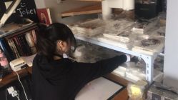 -Black Tattoo Studio