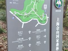 -上海佘山国家森林公园天马山园