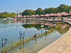 -新江湾城公园