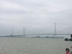 -海鸥岛