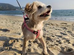 -旺记冰室(九龙中心大厦店)