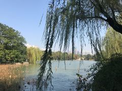 -包公祠