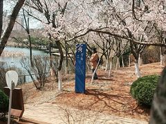 -前关湿地公园