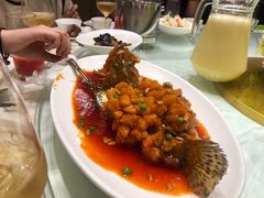 松子鳜鱼-金时代顺风大酒店(临港百联店)