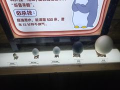 -大连圣亚海洋世界