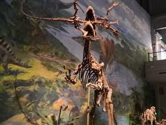 -自贡恐龙博物馆