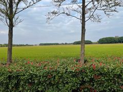 -嘉北郊野公园