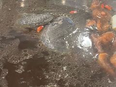 -太婆天府山珍酒楼(亚运村店)