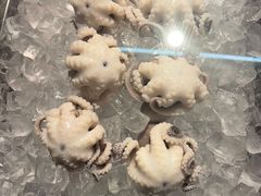 -铭聚章鱼土笋冻(松柏店)